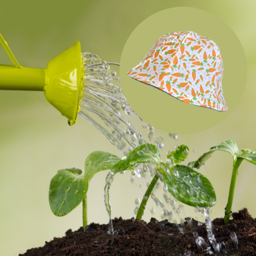 Sowing Seeds
